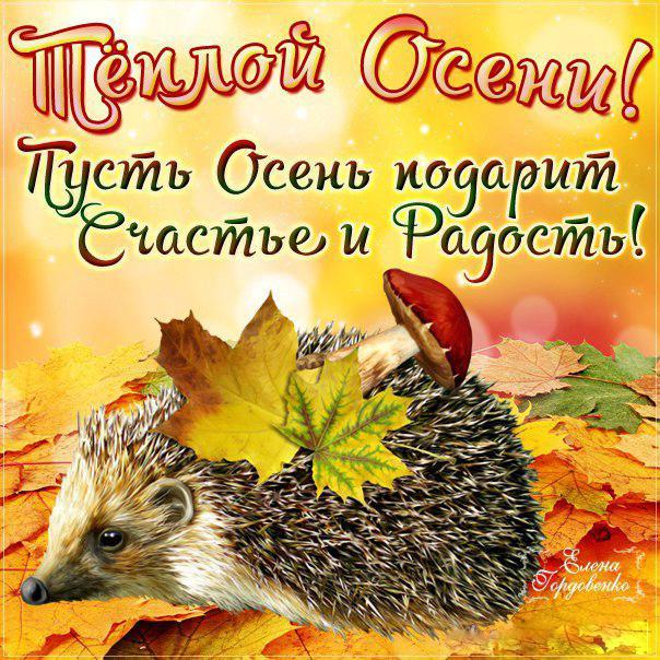 Здравствуй Осень золотая!