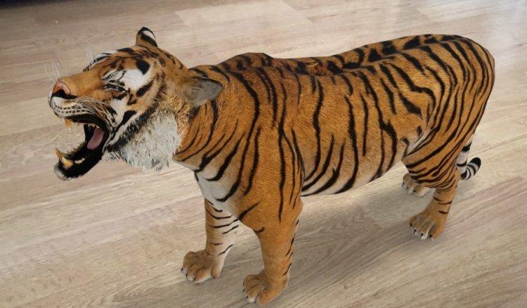 Развлечение на карантине: смотрим 3D животных в Google